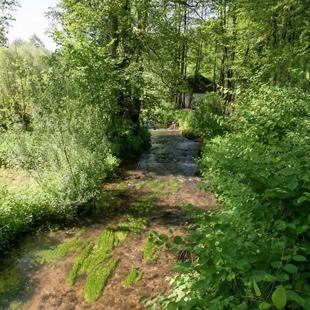 Modern In With Garden *